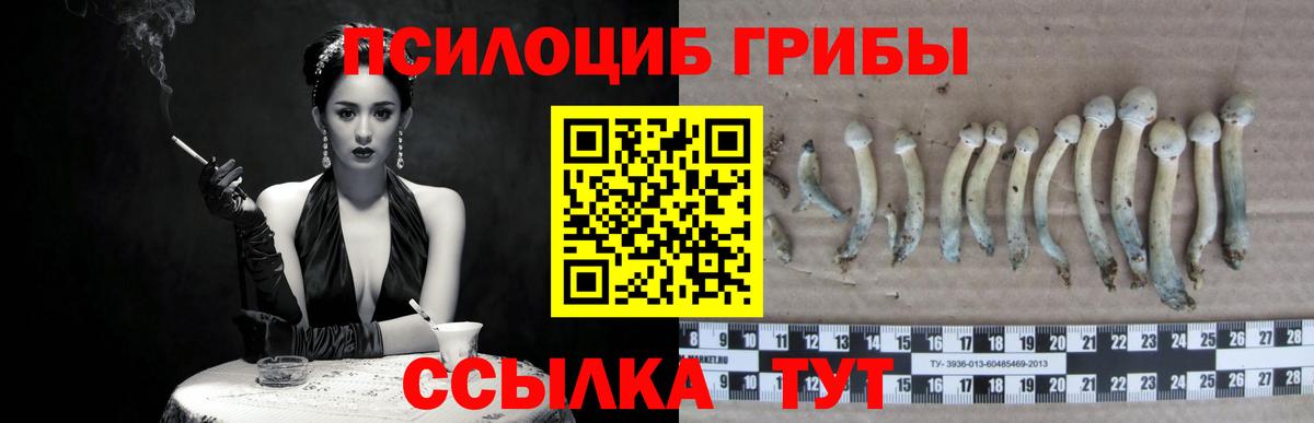 Псилоцибиновые грибы мухоморы Шуя